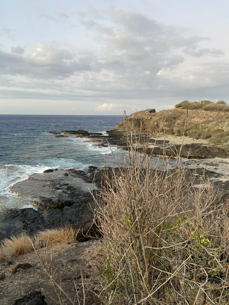Volcanic coast and breaking waves on Réunion Island.