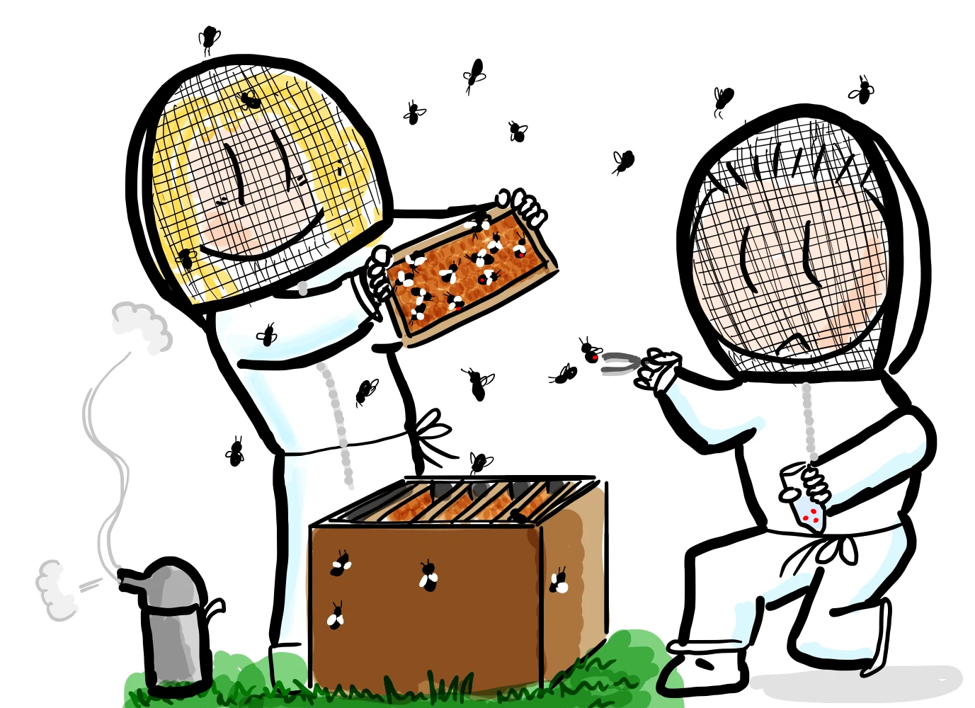 Cartoon of two researchers in bee suits opening a honey bee colony and collecting Varroa mites.